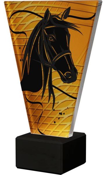 TROFEJ-SKLO-VL1/HOR veľkosť C 17,5 cm